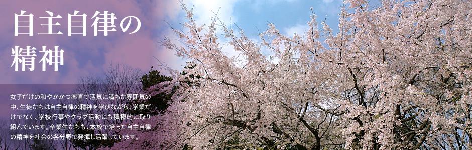 乐橙APP官网下载